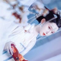 朝阳通安卓版