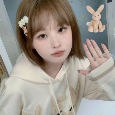 ¸机端app