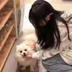 多宝体育iosappag九游会j9登录入口旧版官网下载图片